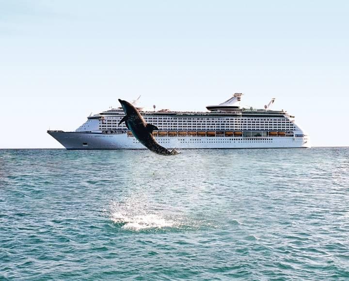 10 Animals You Can Spot from a Cruise Ship