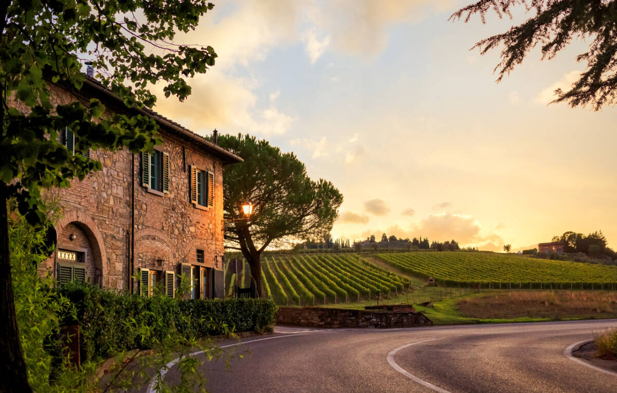 Discovering the Vineyards of Italy